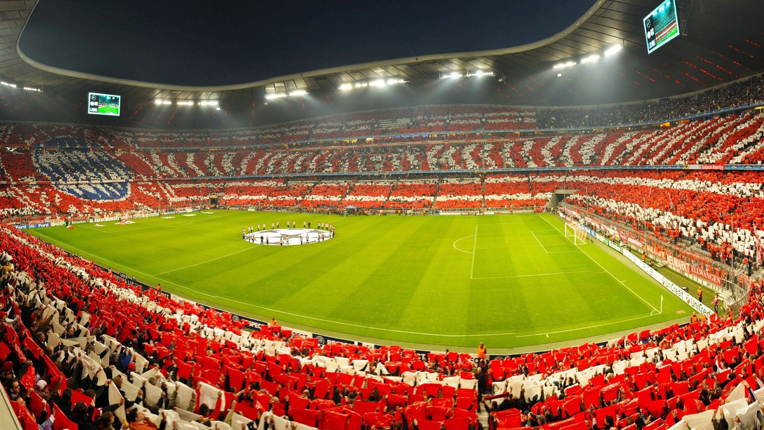 张伟丽晒训练照肌肉线条惊艳网友，张伟丽最近训练情况